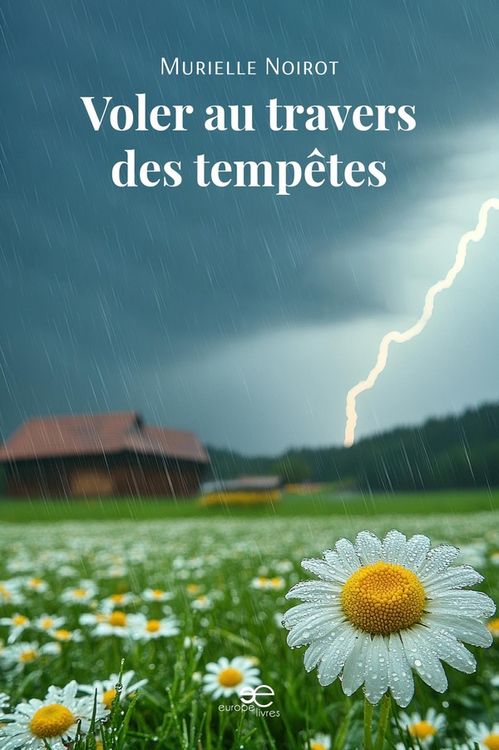 Produktbild: Voler au travers des tempetes