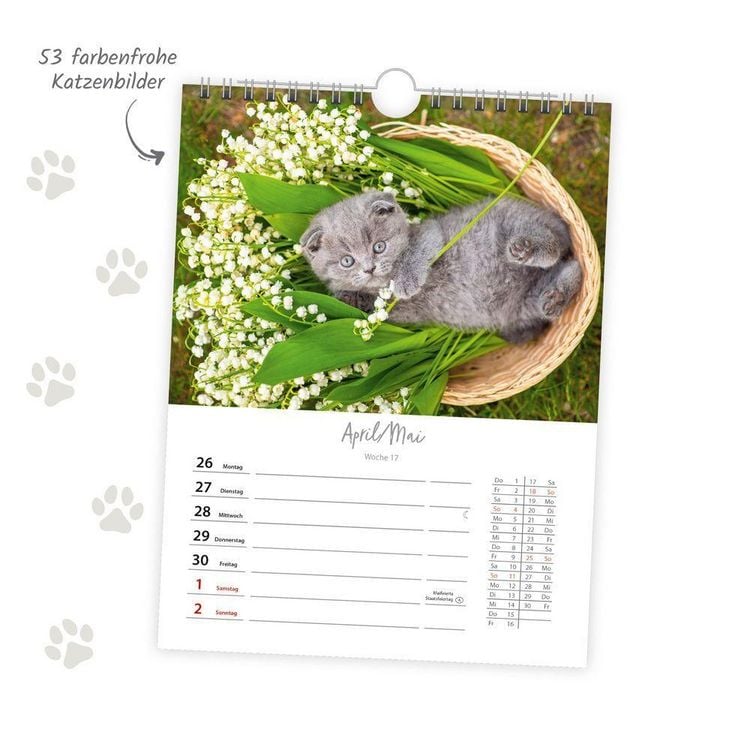 Produktbild: TR&Ouml;TSCH - Wochenkalender zum H&auml;ngen Katzen 2027