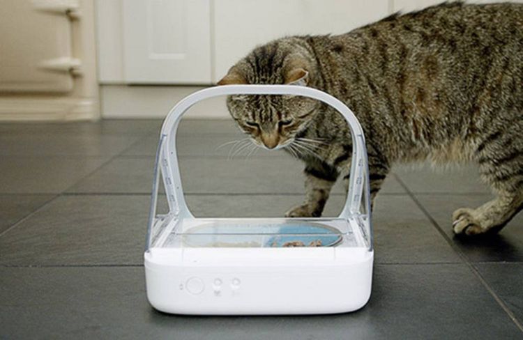 Produktbild: SureFeed Futterautomat Mikrochip chucker 400 ml Hund, Katze Wei&szlig; Steuerung &uuml;ber Chip oder RFID-Anh&auml;nger, Automatisch schlie&szlig;ender Deckel, f&uuml;r Nas