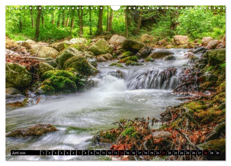 Produktbild: Verzauberter Harz (Wandkalender 2026 DIN A3 quer), CALVENDO Monatskalender