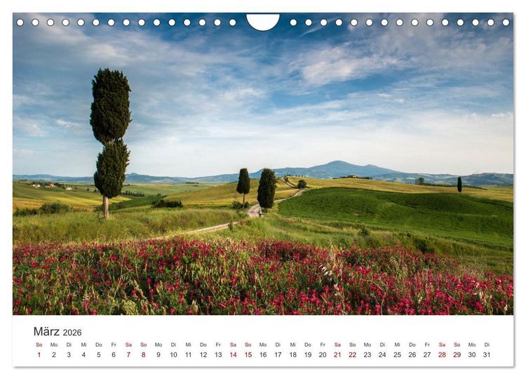 Produktbild: Gr&uuml;ne Farbt&ouml;ne Toskana (Wandkalender 2026 DIN A4 quer), CALVENDO Monatskalender