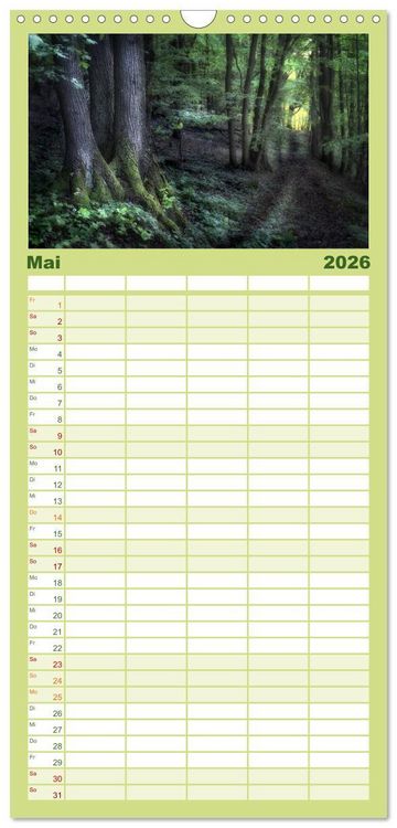 Produktbild: Familienplaner 2026 - Waldkalender mit 5 Spalten (Wandkalender, 21 x 45 cm) CALVENDO