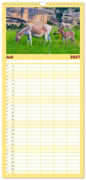 Produktbild: Familienplaner 2027 - Liebenswerte Esel mit 5 Spalten (Wandkalender, 21 x 45 cm) CALVENDO