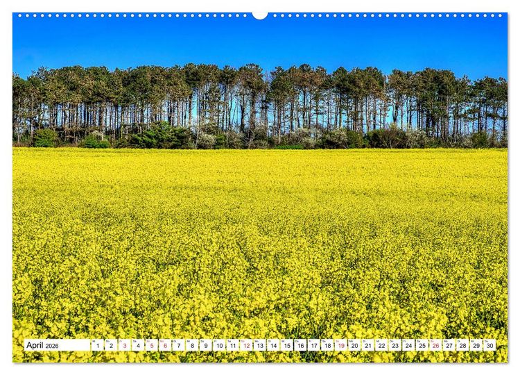 Produktbild: Norddeutsche Landschaften (hochwertiger Premium Wandkalender 2026 DIN A2 quer), Kunstdruck in Hochglanz