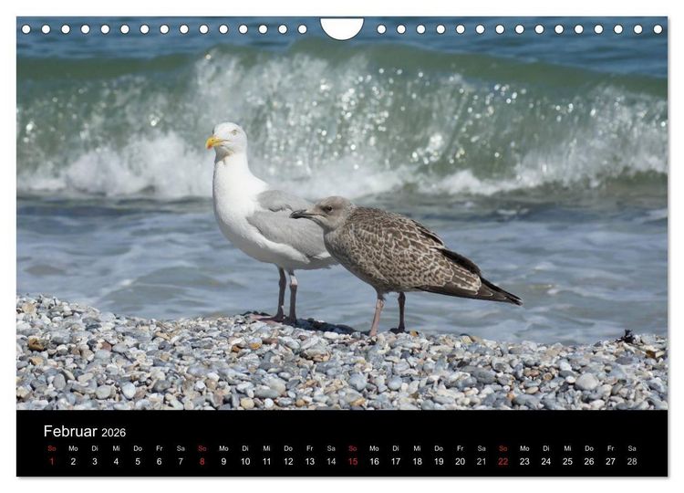 Produktbild: Hochseeeinsel Helgoland (Wandkalender 2026 DIN A4 quer), CALVENDO Monatskalender