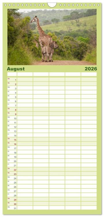 Produktbild: Familienplaner 2026 - Tierische Gl&uuml;cksmomente mit 5 Spalten (Wandkalender, 21 x 45 cm) CALVENDO
