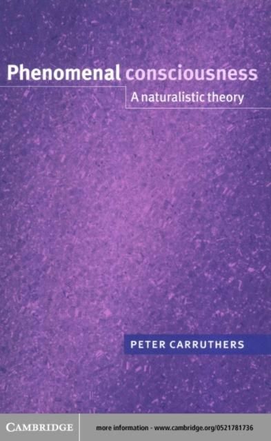 Produktbild: Phenomenal Consciousness