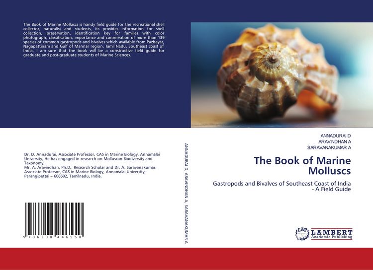Produktbild: The Book of Marine Molluscs