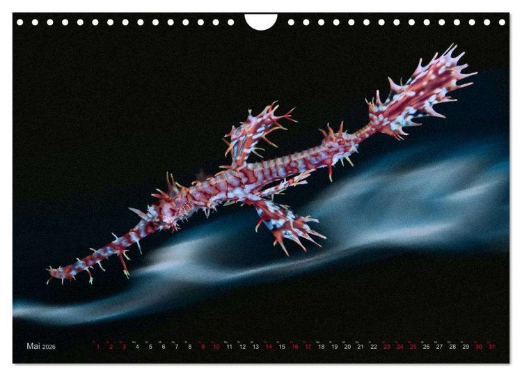 Produktbild: Artwork Unterwasser - Erlebnis Tauchen (Wandkalender 2026 DIN A4 quer), CALVENDO Monatskalender