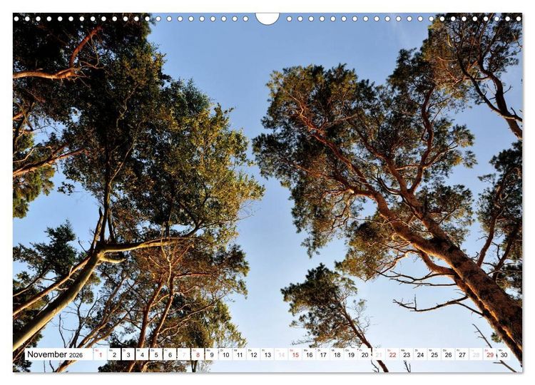 Produktbild: Naturschauspiel Dar&szlig;er Weststrand (Wandkalender 2026 DIN A3 quer), CALVENDO Monatskalender