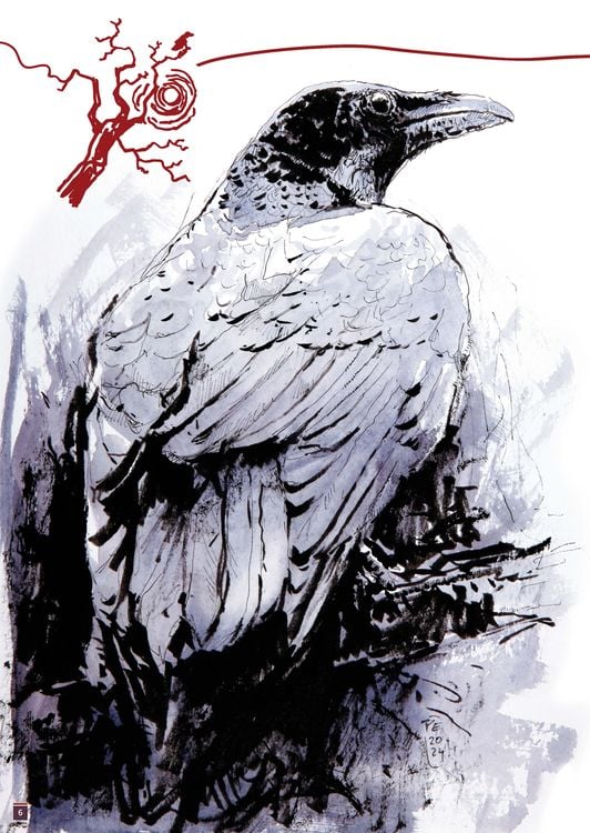 Produktbild: Der Rabe / The Raven