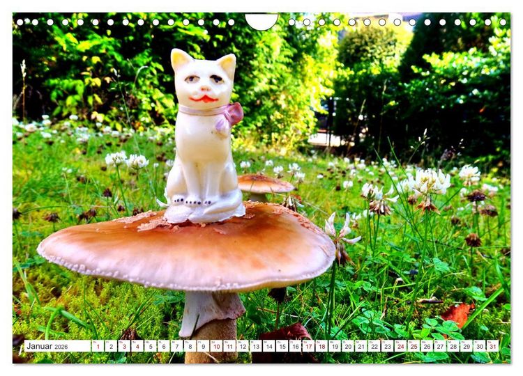 Produktbild: Pilz-Tiere (Wandkalender 2026 DIN A4 quer), CALVENDO Monatskalender