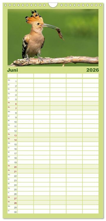 Produktbild: Familienplaner 2026 - Fantastische Vogelwelt Slowenien mit 5 Spalten (Wandkalender, 21 x 45 cm) CALVENDO