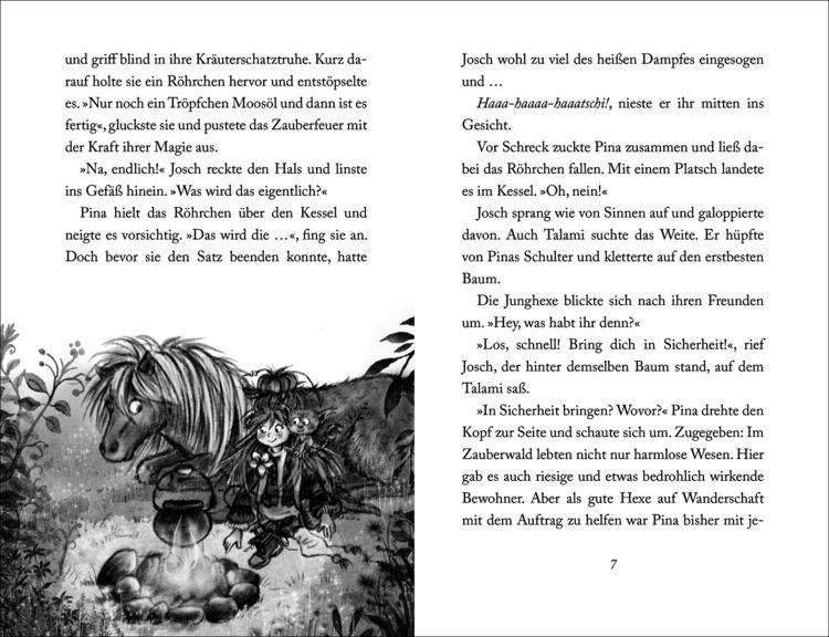 Produktbild: Pina Ponyhexe &ndash; Der verlorene Fuchs