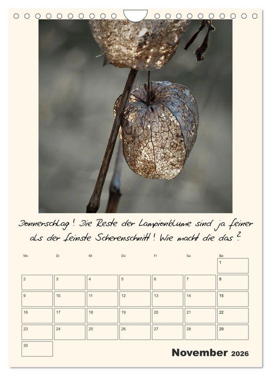Produktbild: Gartengeschichten (Wandkalender 2026 DIN A4 hoch), CALVENDO Monatskalender