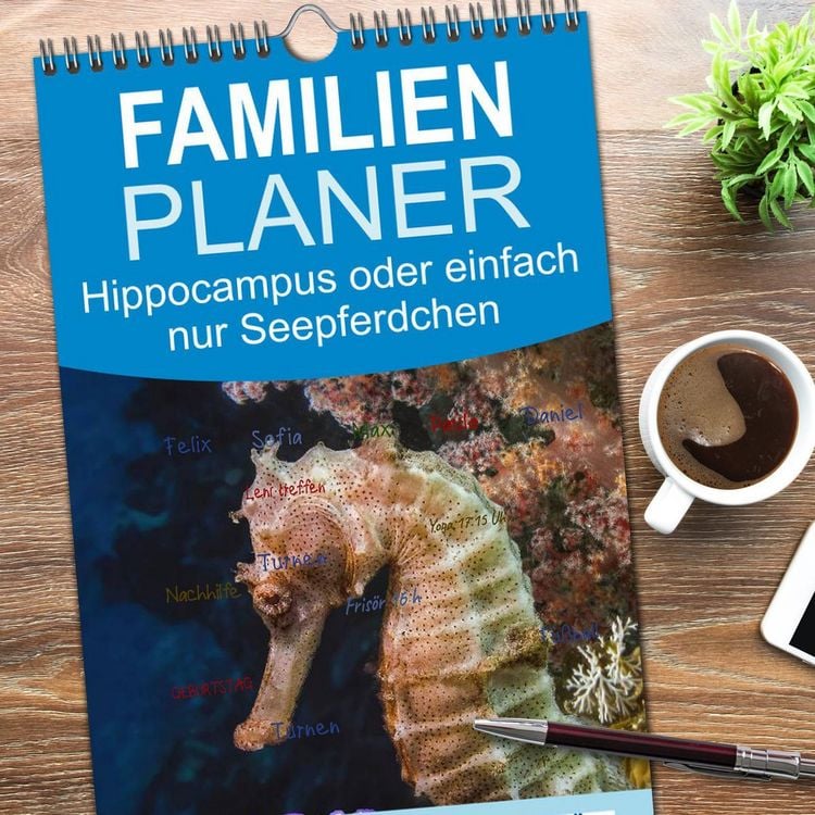 Produktbild: Familienplaner 2026 - Hippocampus oder einfach nur Seepferdchen mit 5 Spalten (Wandkalender, 21 x 45 cm) CALVENDO