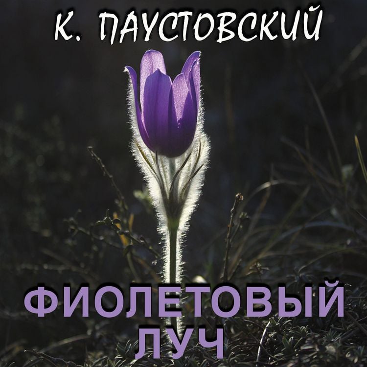 Produktbild: Fioletovyiy luch