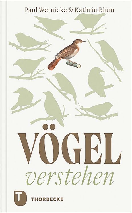 Produktbild: V&ouml;gel verstehen