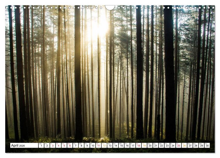 Produktbild: Four seasons in Estonia (Wall Calendar 2026 DIN A3 landscape), CALVENDO 12 Month Wall Calendar