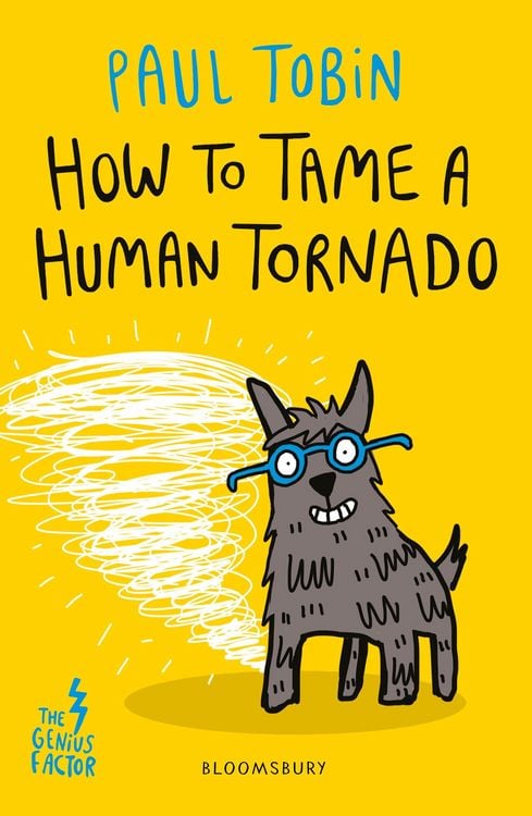 Produktbild: How to Tame a Human Tornado