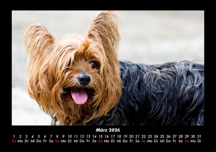 Produktbild: Welt der Tiere 2026 Fotokalender DIN A3