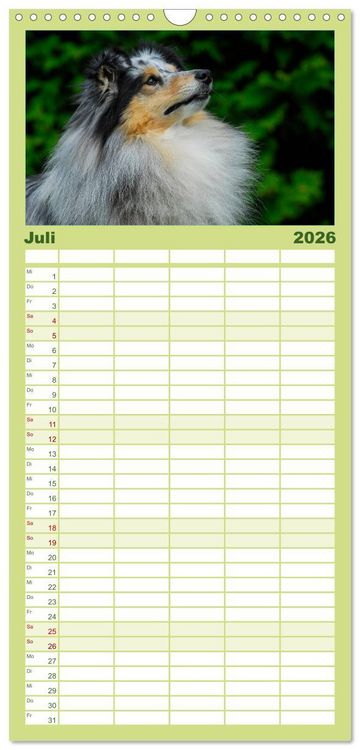 Produktbild: Familienplaner 2026 - Sheltie 2026 mit 5 Spalten (Wandkalender, 21 x 45 cm) CALVENDO
