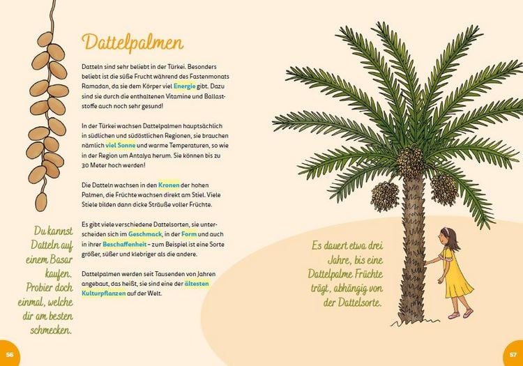 Produktbild: Türkei for kids