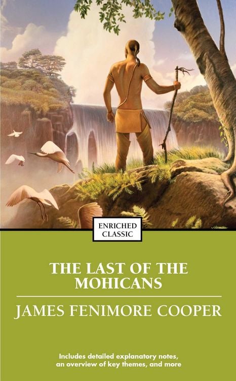 Produktbild: The Last of the Mohicans
