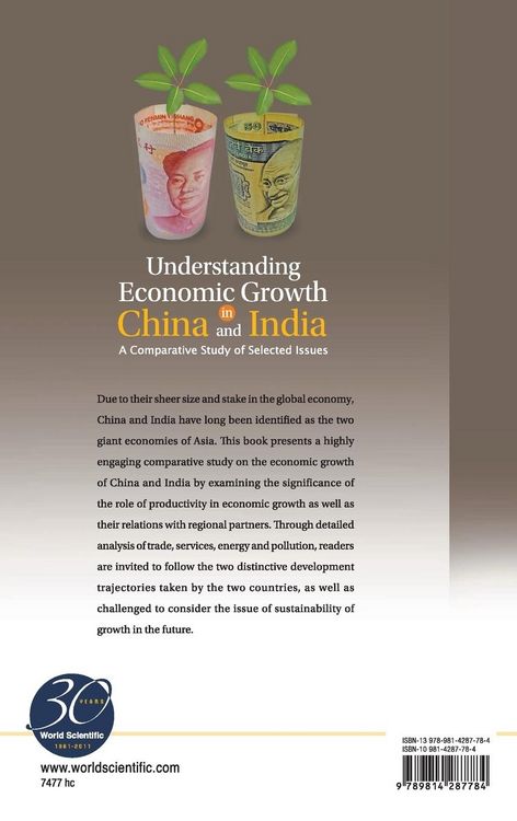 Produktbild: Understanding Economic Growth in China..