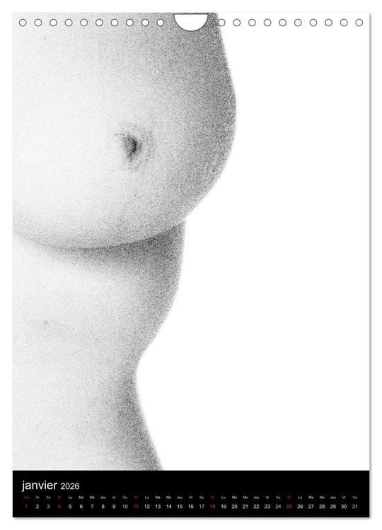 Produktbild: F&eacute;minit&eacute; (Calendrier mural 2026 DIN A4 horizontal), CALVENDO calendrier mensuel