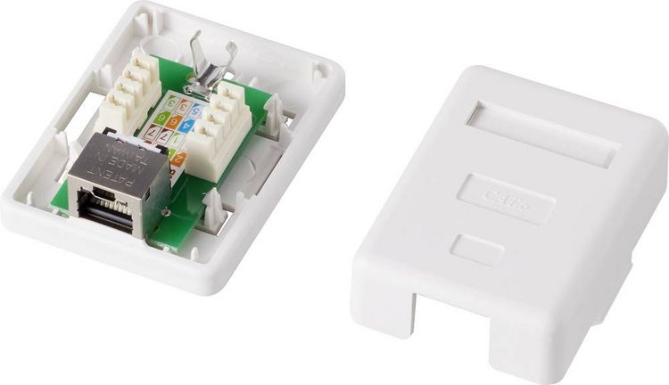 Produktbild: Renkforce 1 Port Netzwerkdose Aufputz CAT 6 KSV-ND10 Wei&szlig; RF-4473849