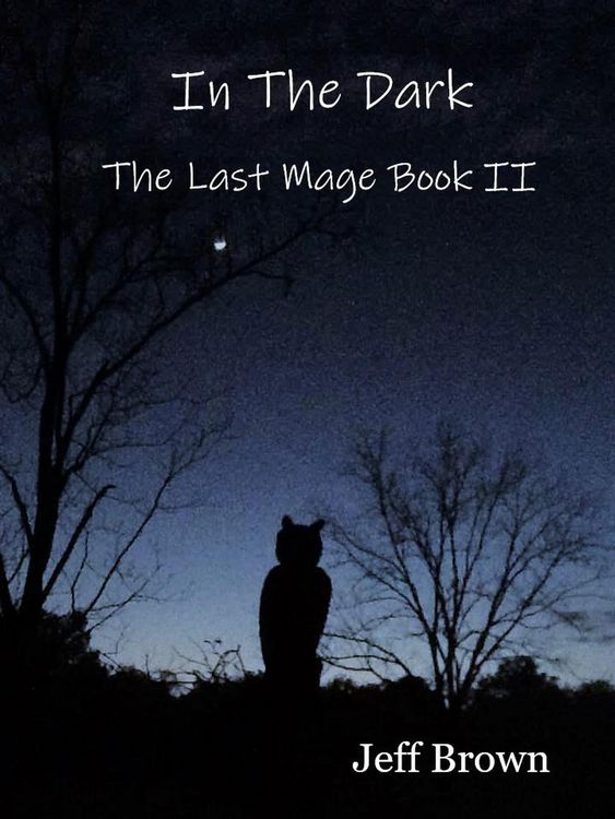Produktbild: In The Dark: The Last Mage Book II
