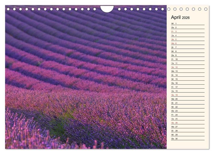 Produktbild: Lavendel (Wandkalender 2026 DIN A4 quer), CALVENDO Monatskalender
