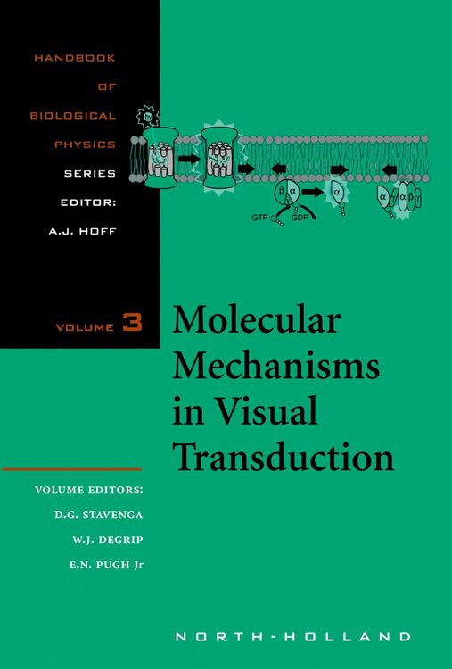 Produktbild: Molecular Mechanisms in Visual Transduction
