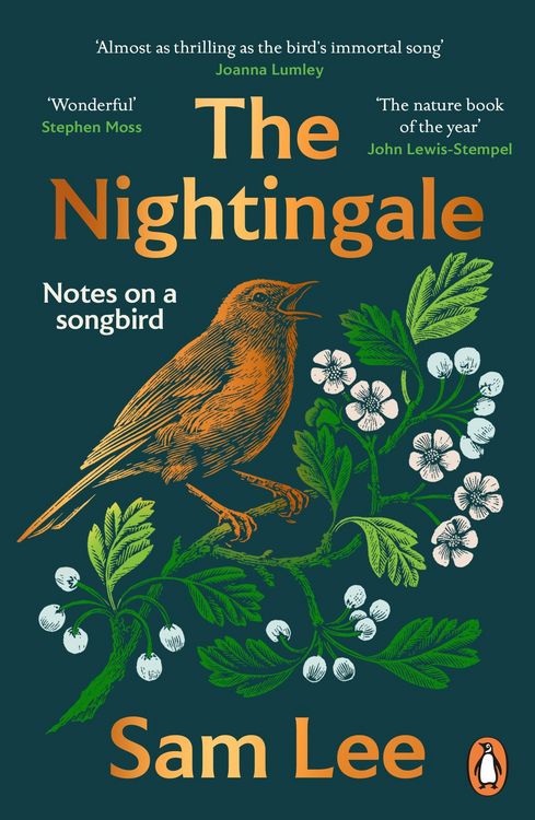 Produktbild: The Nightingale