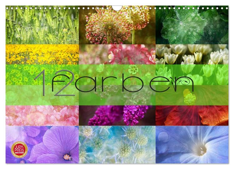 Produktbild: 12 Farben (Wandkalender 2026 DIN A3 quer), CALVENDO Monatskalender