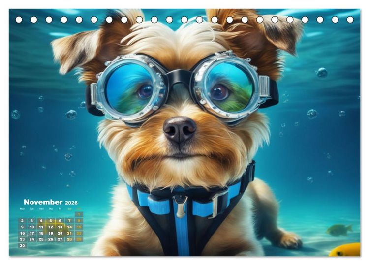 Produktbild: Dogs: intrepid swimmers (Desk Calendar 2026 DIN A5 landscape), CALVENDO 12 Month DeskCalendar