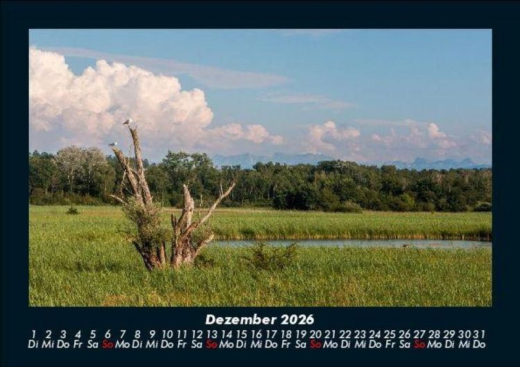Produktbild: B&auml;ume 2026 Fotokalender DIN A5