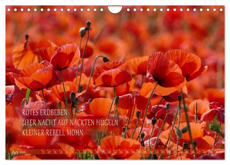 Produktbild: Haiku Poesie in Wort und Bild (Wandkalender 2026 DIN A4 quer), CALVENDO Monatskalender