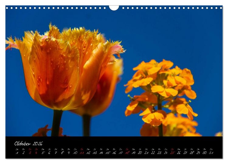 Produktbild: Butchart Gardens 2026 (Wandkalender 2026 DIN A3 quer), CALVENDO Monatskalender