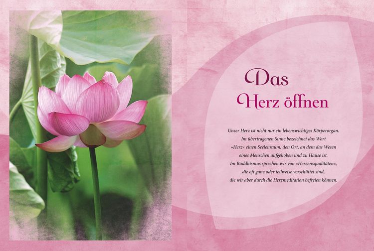 Produktbild: Buddhas Herzmeditation (mit Audio-CD)