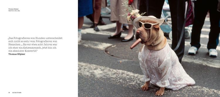 Produktbild: HUNDE