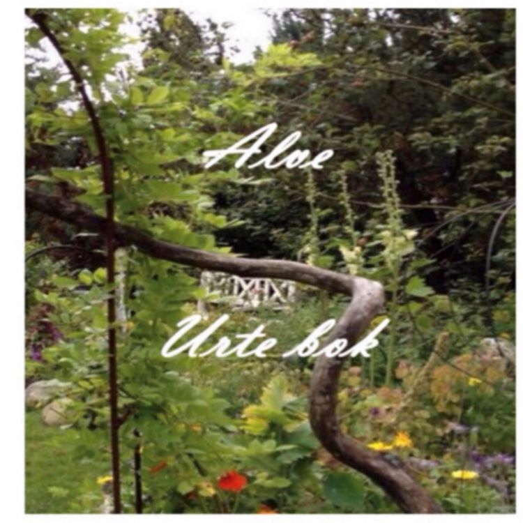 Produktbild: Alve urte bok