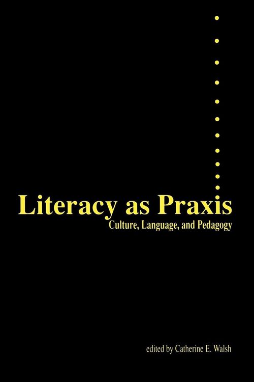 Produktbild: Literacy as Praxis