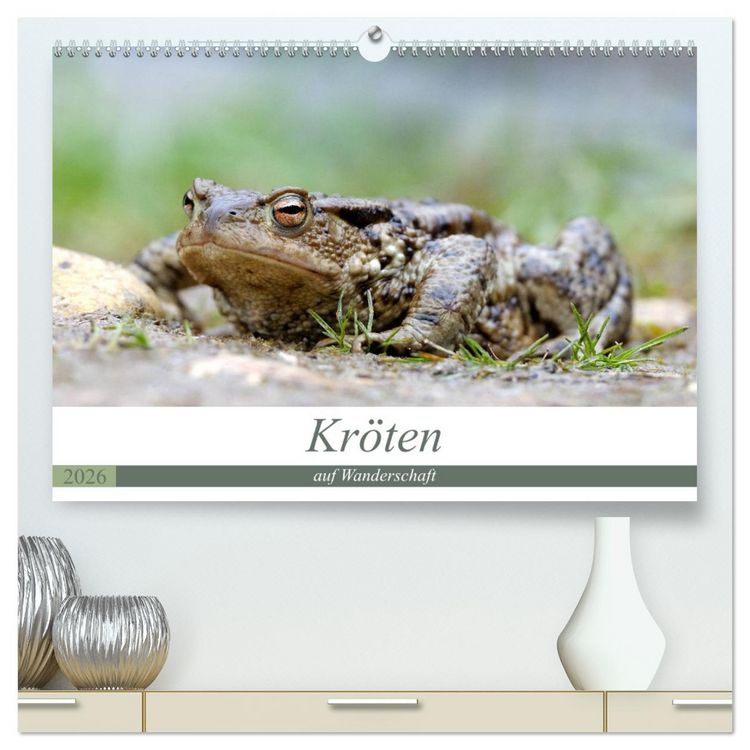 Produktbild: Kr&ouml;ten auf Wanderschaft (hochwertiger Premium Wandkalender 2026 DIN A2 quer), Kunstdruck in Hochglanz