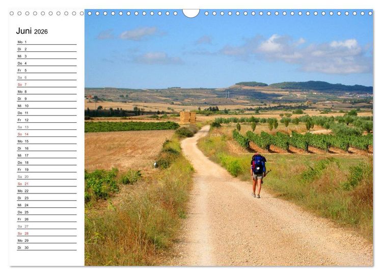 Produktbild: Jakobsweg - Camino Frances (Wandkalender 2026 DIN A3 quer), CALVENDO Monatskalender