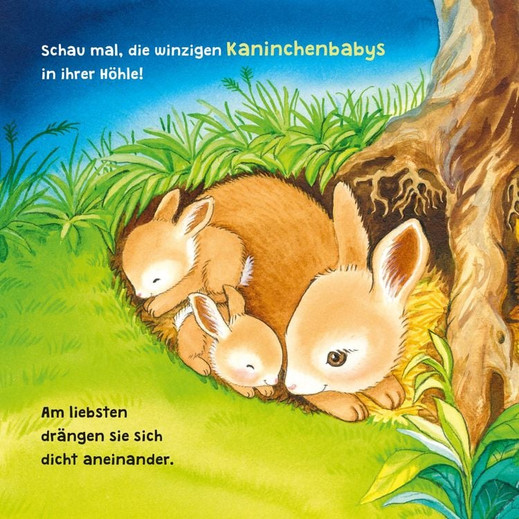 Produktbild: Baby Pixi (unkaputtbar) 96: Mein Lieblingsbuch vom Einschlafen mit den Tieren
