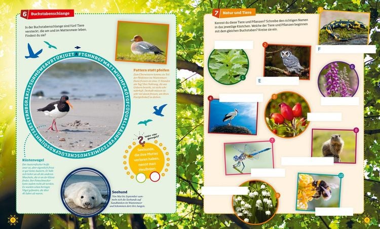 Produktbild: WAS IST WAS R&auml;tseln und Stickern: Natur