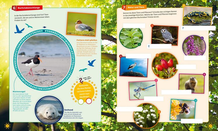 Produktbild: WAS IST WAS R&auml;tseln und Stickern: Natur