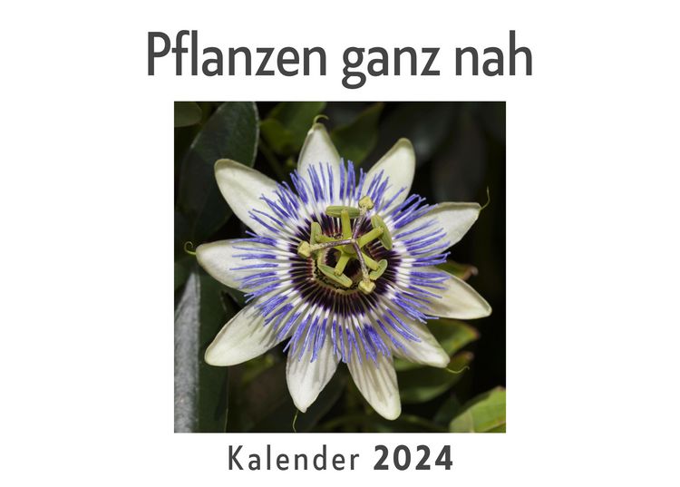 Produktbild: Pflanzen ganz nah (Wandkalender 2024, Kalender DIN A4 quer, Monatskalender im Querformat mit Kalendarium, Das perfekte Geschenk)